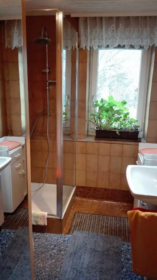 タルレンツ Haus Agererヴィラ エクステリア 写真